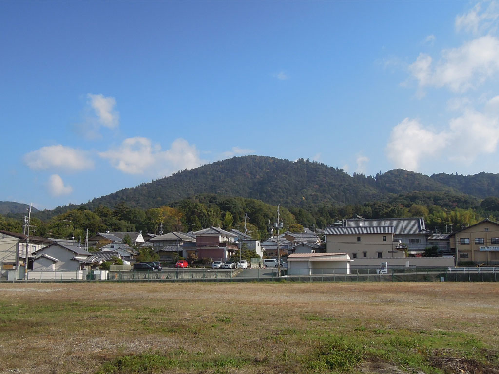 大神神社（奈良県）のなで兎 | 神兎研究会